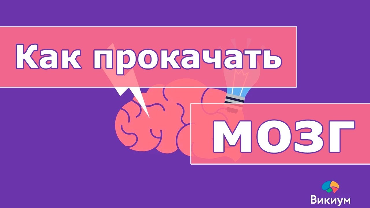 Хотите прокачать мозг? С Викиумом это легко и интересно!